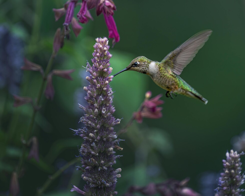 Slideshow image