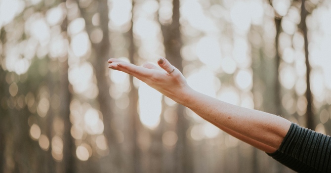 EMDR Consultation Services